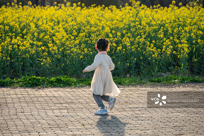 花海前奔跑的背影图片素材