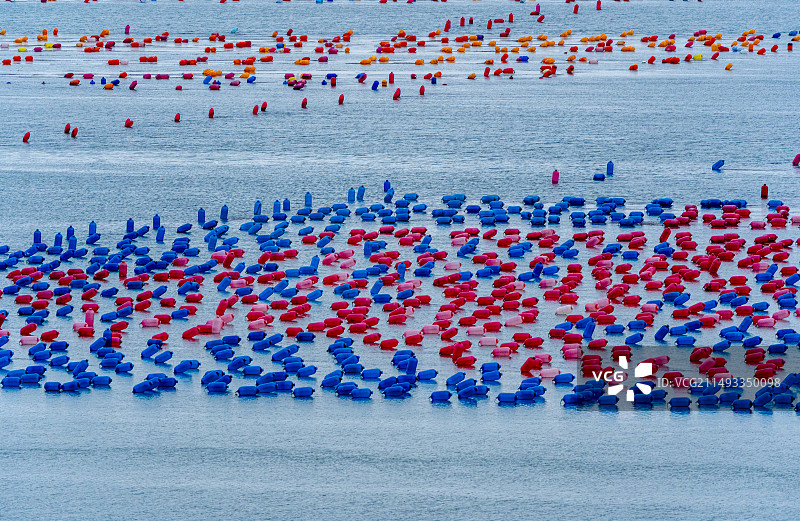汕头南澳岛彩虹海海产养殖基地图片素材