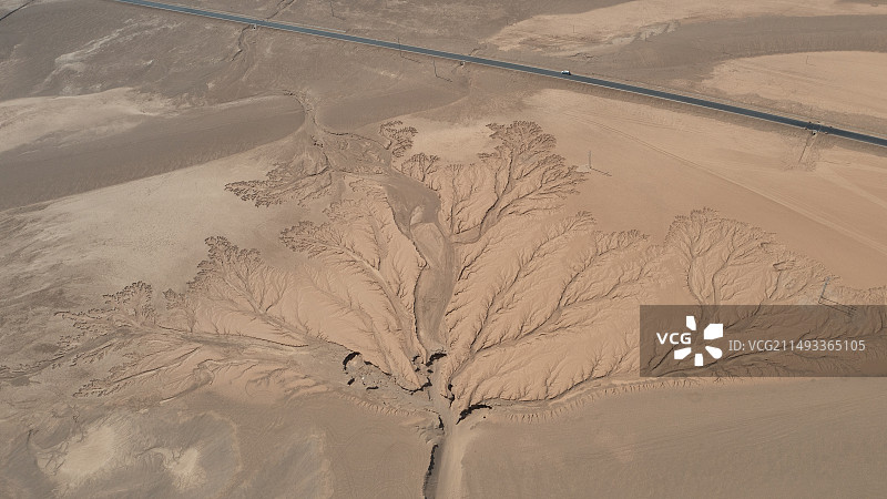 航拍西藏阿里地区改则县洞措滩涂大地之树风光图片素材