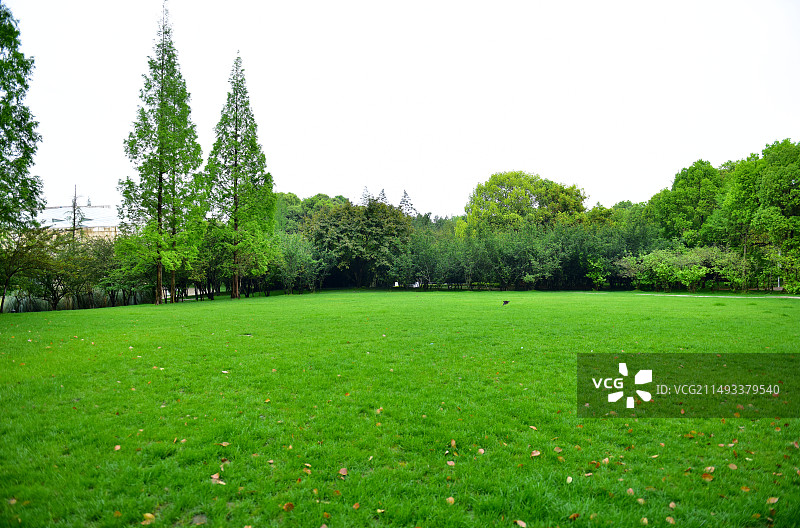 四川省成都市青羊区金沙遗址博物馆图片素材