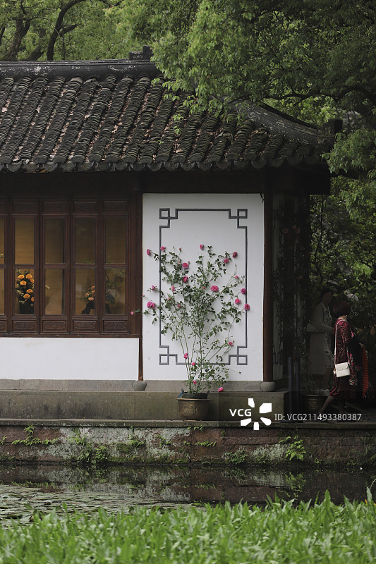 郭庄一角（月季展）图片素材