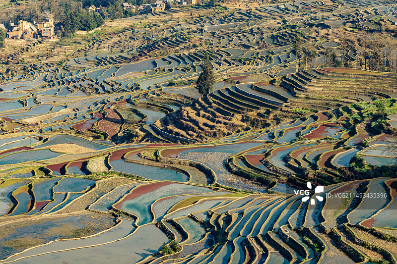 云南红河州哈尼梯田图片素材