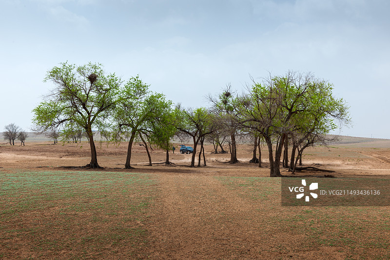 毛乌素沙漠图片素材