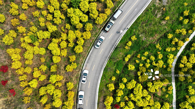 黄金谷春色满园图片素材