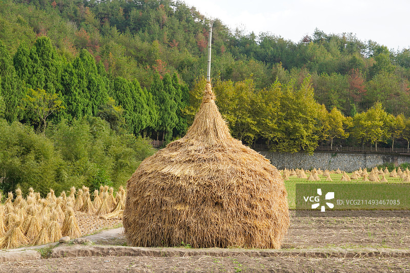 稻草堆图片素材