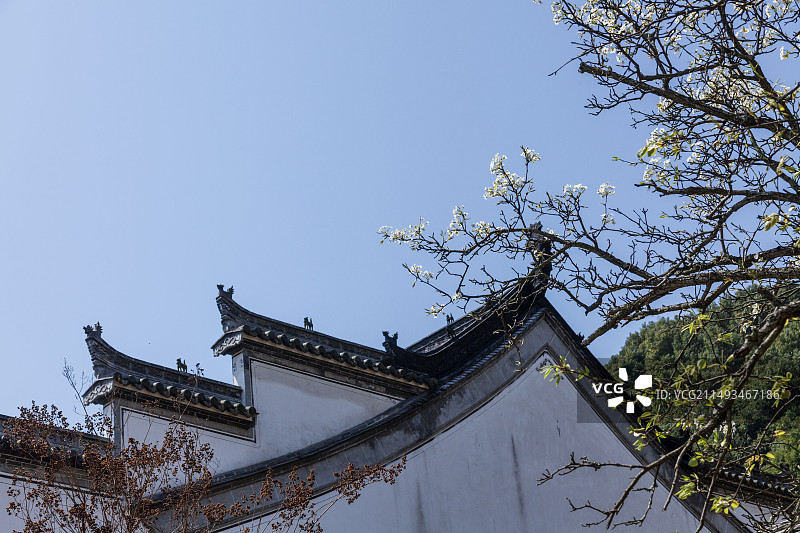 婺源县春光明媚百花盛开的美丽乡村图片素材