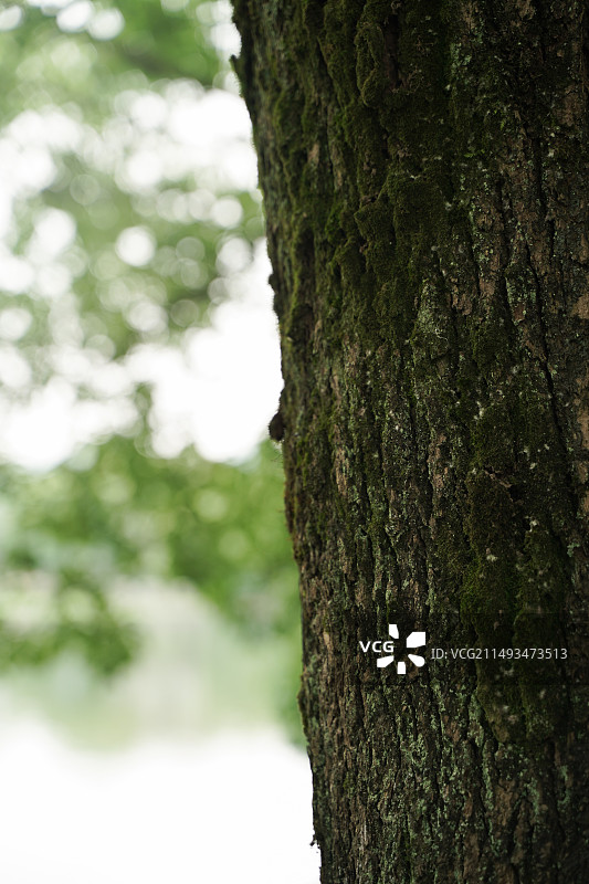 建德梅城西湖的风景图片素材