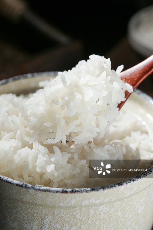 猫牙米饭图片素材