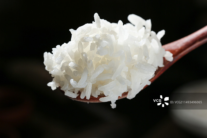 猫牙米饭图片素材