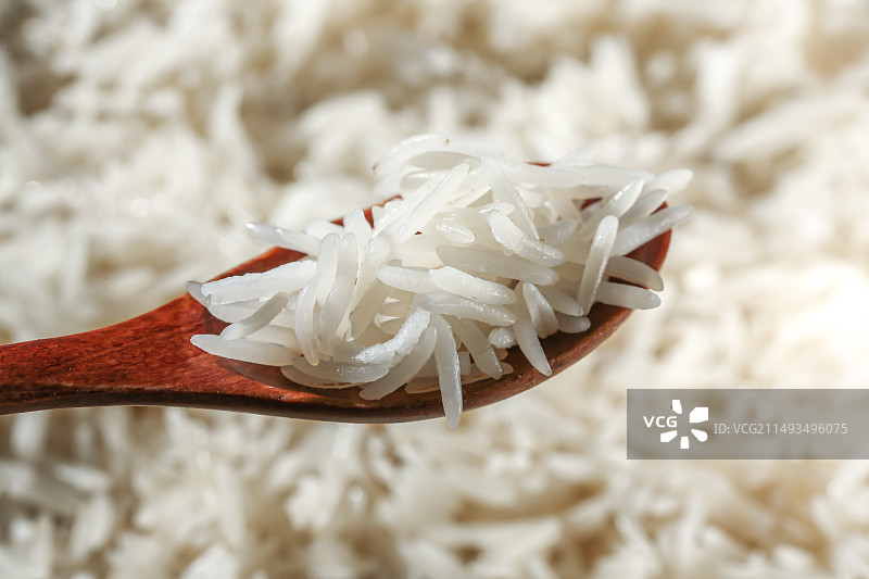 猫牙米饭图片素材