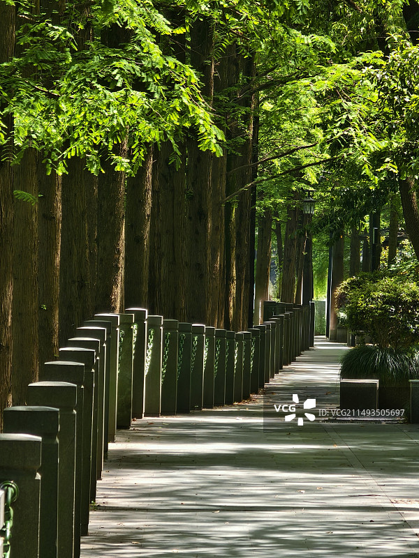 湖边树木、护栏及步道图片素材