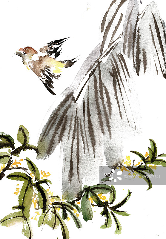 芭蕉与麻雀图片素材