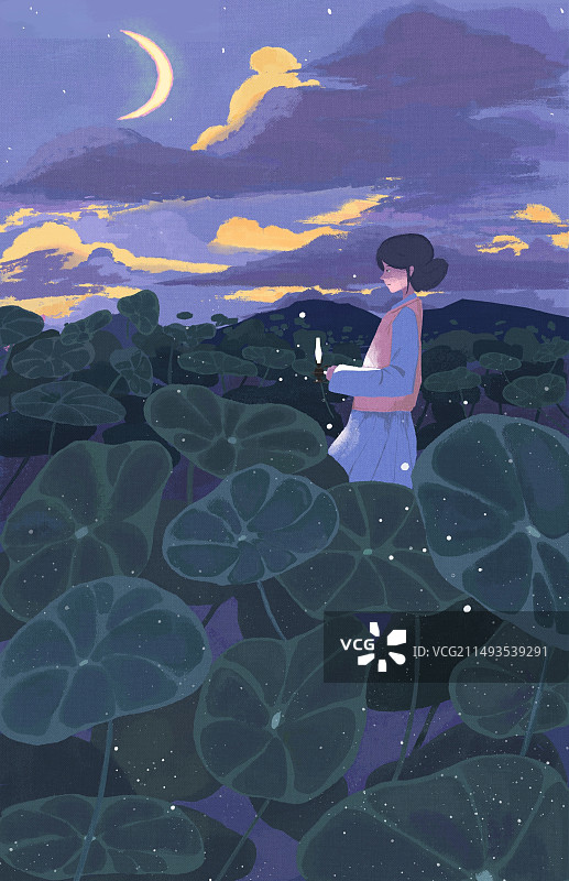 荷塘月色图片素材