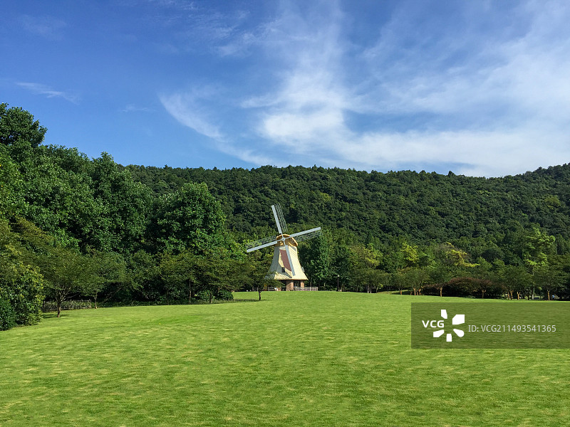 杭州太子湾公园风车草坪图片素材