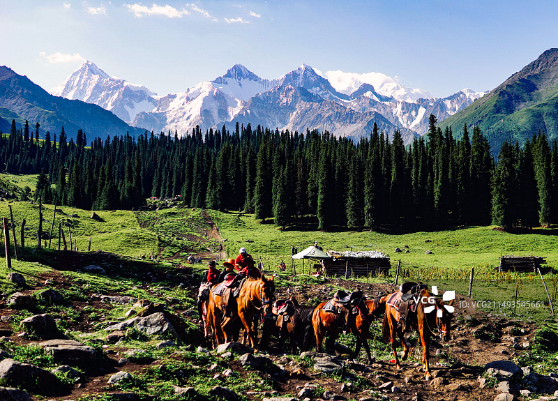 夏塔马队图片素材