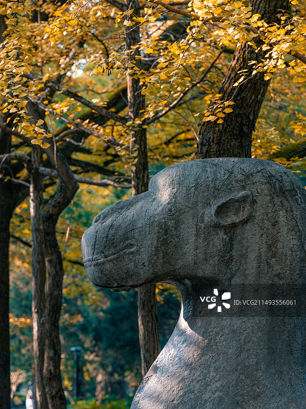 南京明孝陵陵园路图片素材
