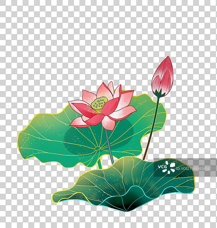 国潮新中式荷花荷叶元素图片素材