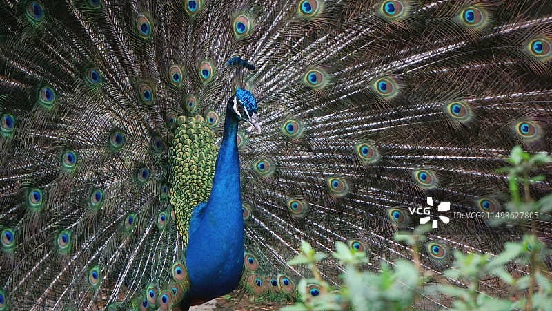 广州动物园图片素材
