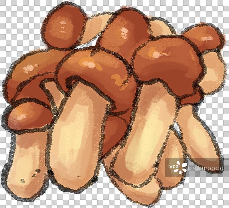 水墨风滇菜云南菜昆明美食野生菌插画图片素材