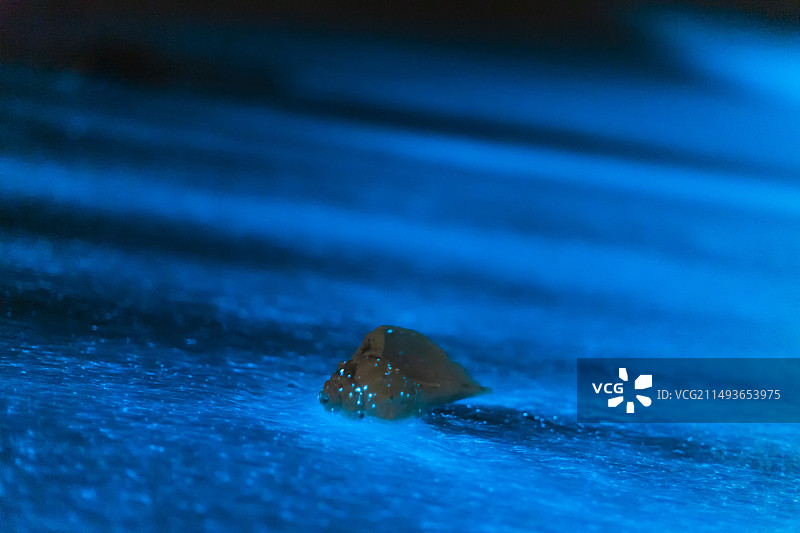 福建福州平潭岛蓝眼泪图片素材