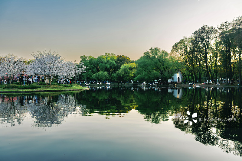 上海共青森林公园图片素材