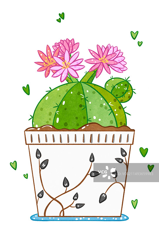 开花的仙人球图片素材