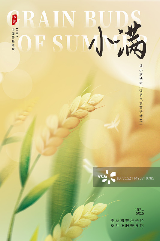 弥散风二十四节气系列插画海报模版-夏天 小满  运动模糊背景 风吹麦穗小清新插画  竖版图片素材