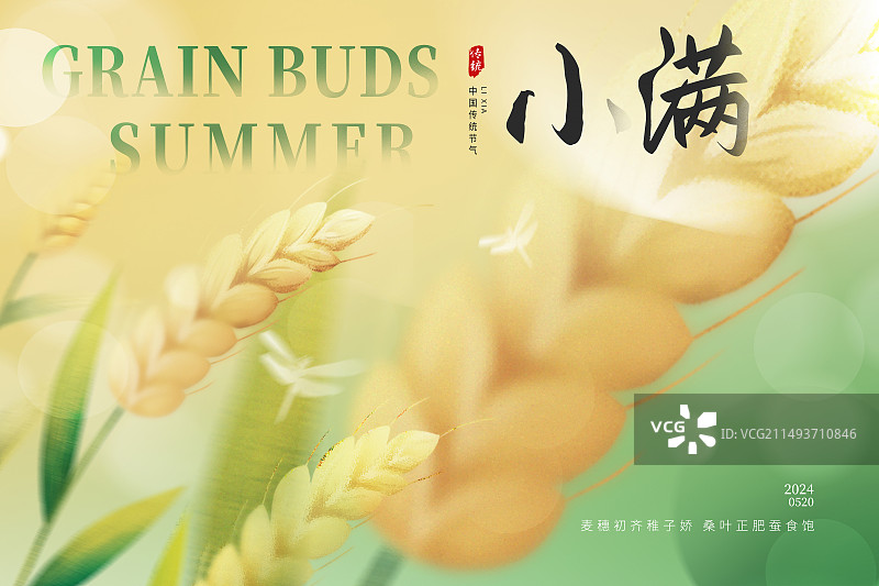 弥散风二十四节气系列插画海报模版-夏天 小满  运动模糊背景 风吹麦穗小清新插画  横版图片素材
