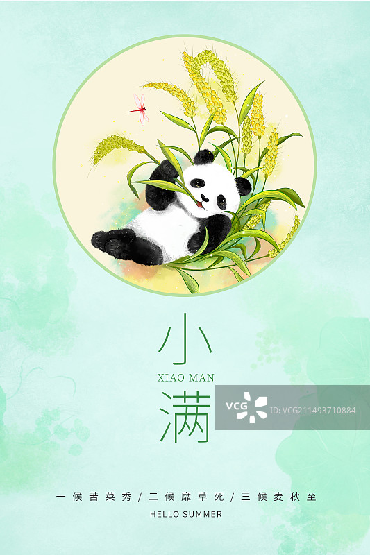 中国风二十四节气窗口系列插画海报模版-夏天 躺在麦田里吃麦穗的熊猫 水彩画背景 竖版图片素材