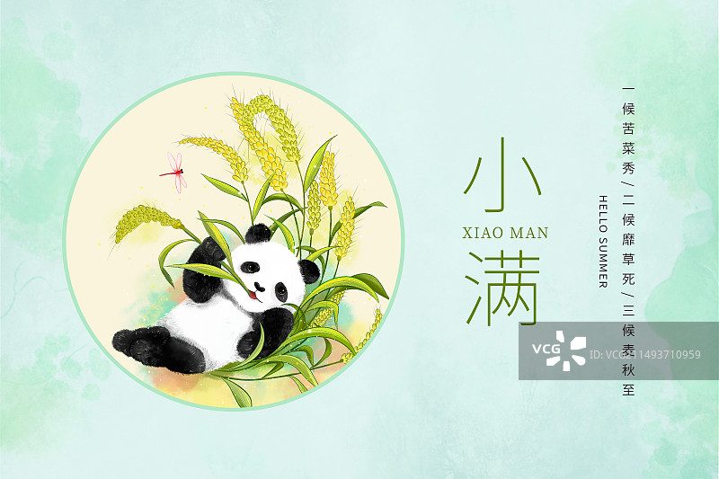 中国风二十四节气窗口系列插画海报模版-夏天 躺在麦田里吃麦穗的熊猫 水彩画背景 横版图片素材