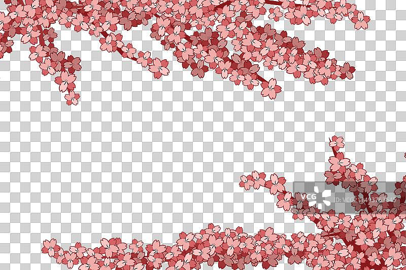 樱花枝条框架图片素材