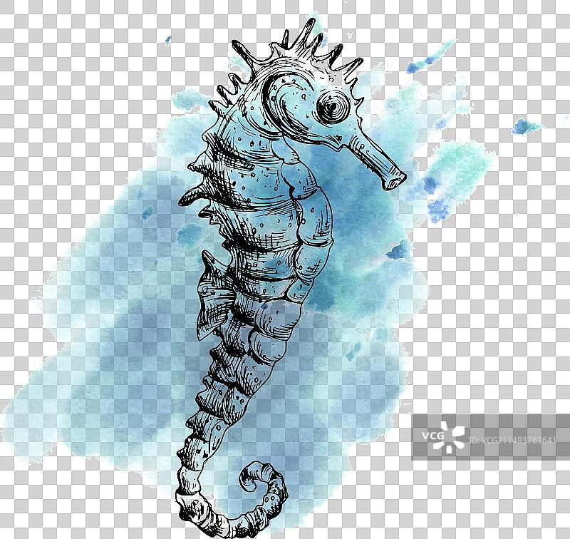 水下世界海洋动物鲸鱼剪贴画图片素材