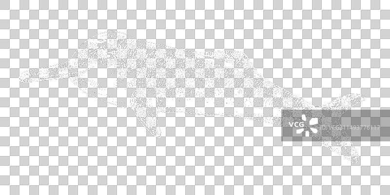 长江白鳍豚灭绝动物素描图片素材