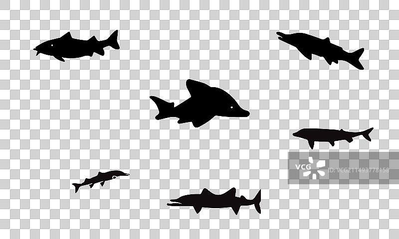 白鲟鱼黑色图标设计图片素材