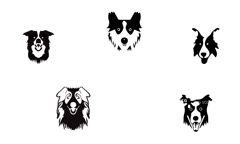 黑色边境牧羊犬图标设计图片素材