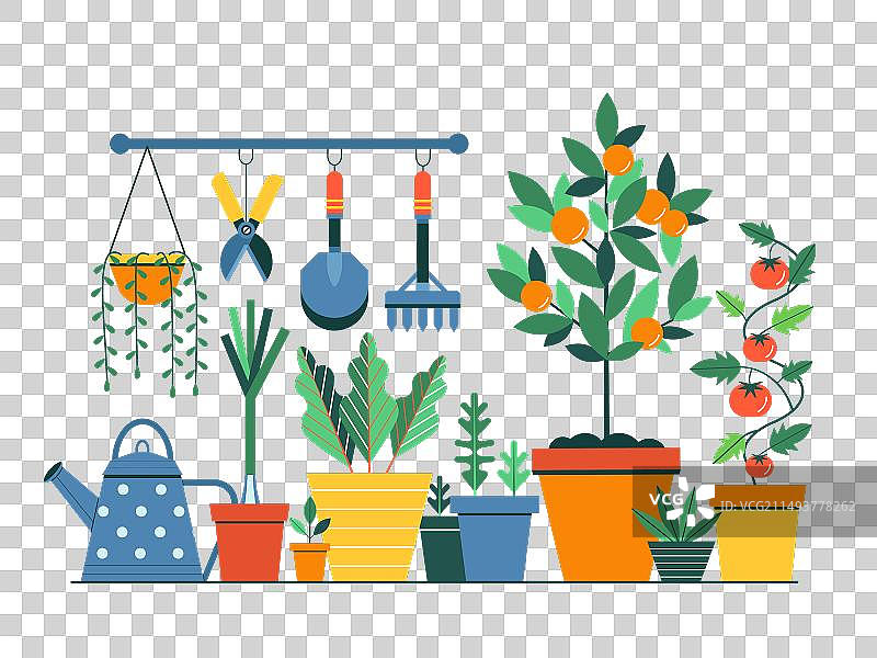 植物与园艺工具场景图片素材