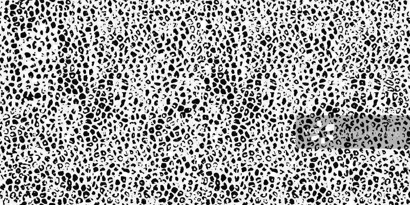 野生动物猫科皮毛纹理无缝图案图片素材