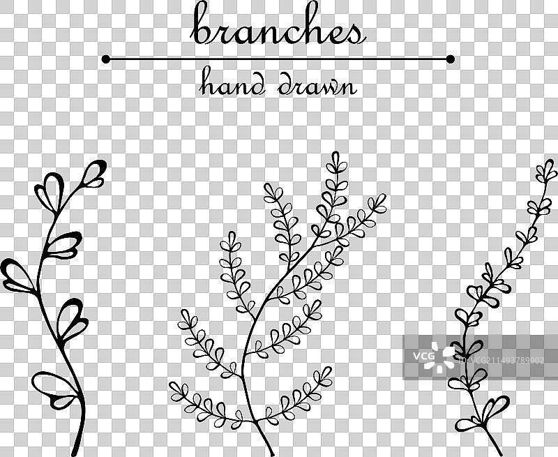 手绘涂鸦风格树枝图片素材