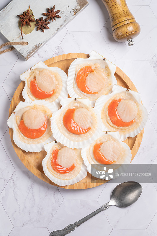 扇贝壳里的新鲜扇贝肉图片素材