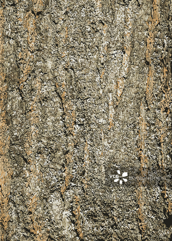 金链花的树皮图片素材