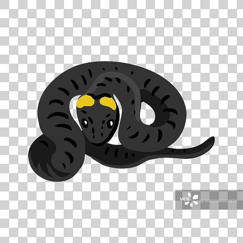 环蛇画图片素材