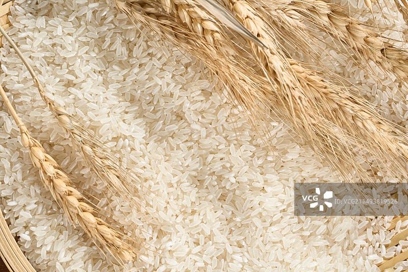 大米的特写图片素材