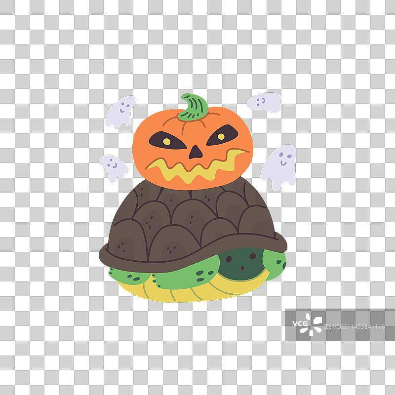 万圣节南瓜头乌龟图片素材