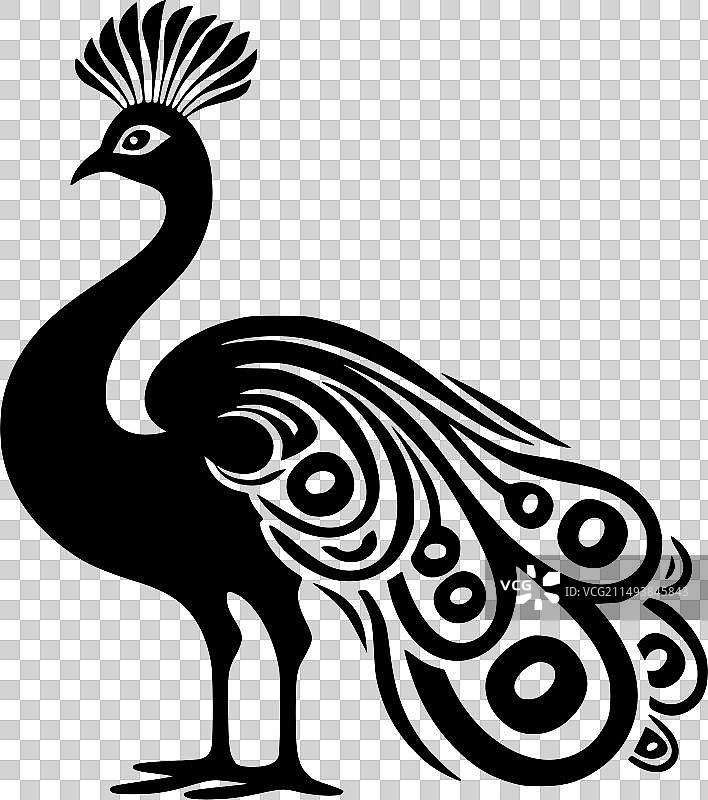 黑白孔雀隔离图标图片素材