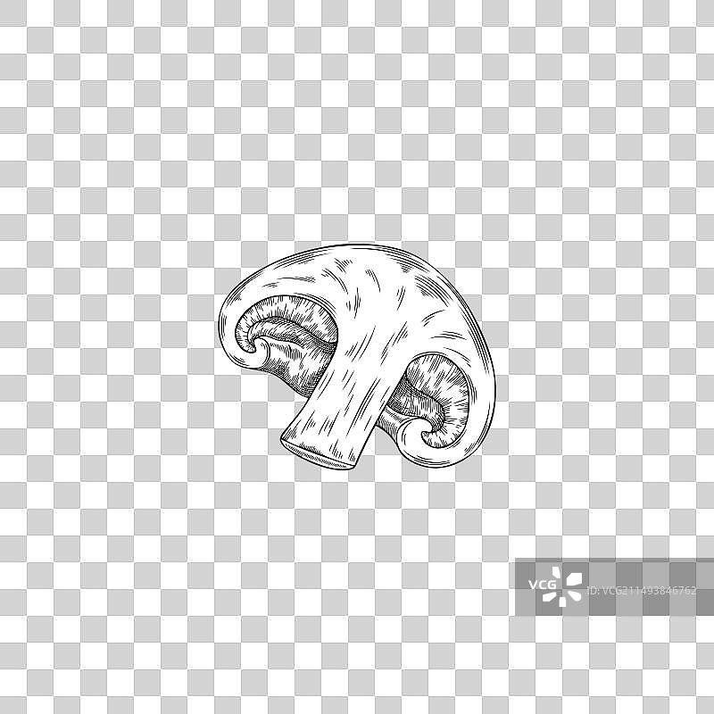 半个香菇雕刻手图片素材