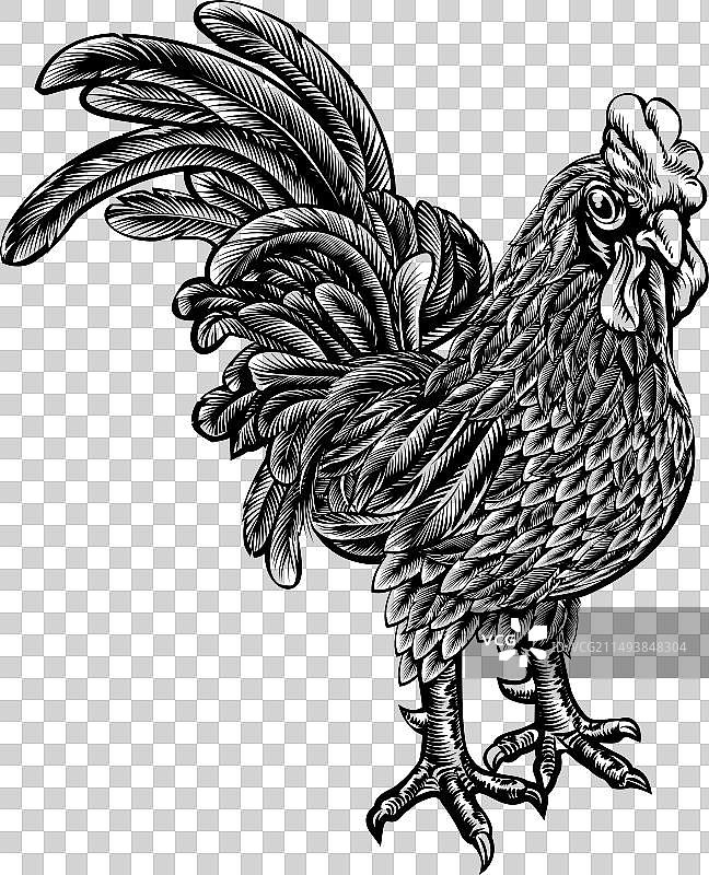 公鸡木刻图片素材