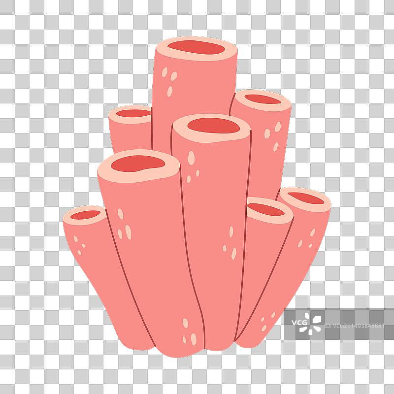 粉色管状海绵群图片素材