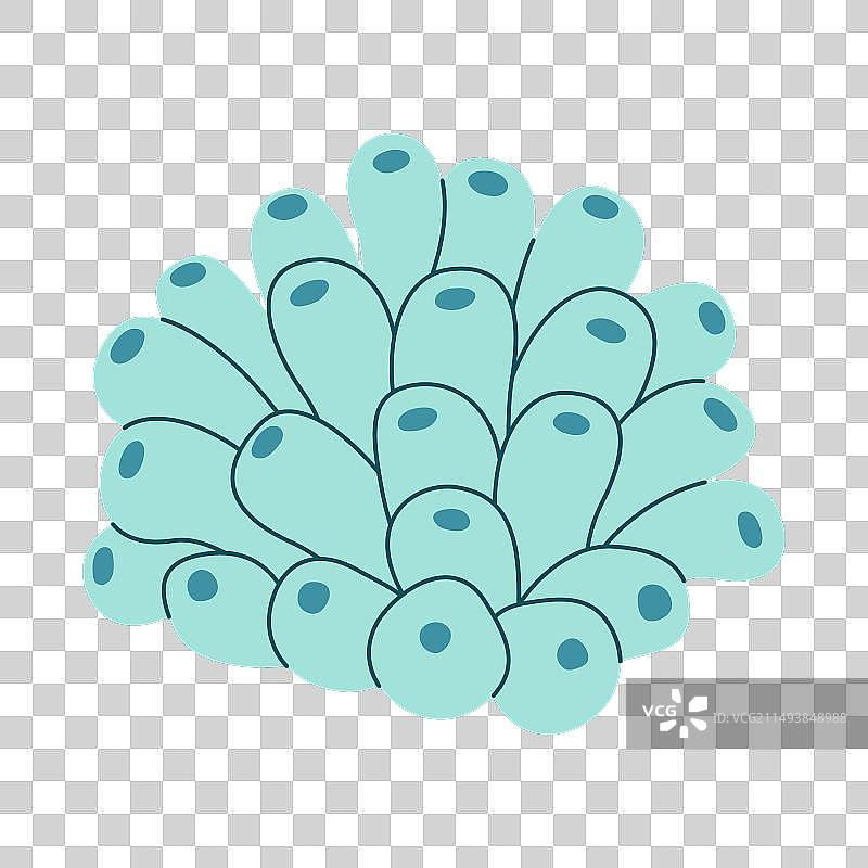 蓝色管状海绵群落海洋生物图片素材