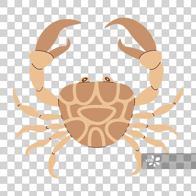 手绘扁平风格螃蟹海洋动物图片素材