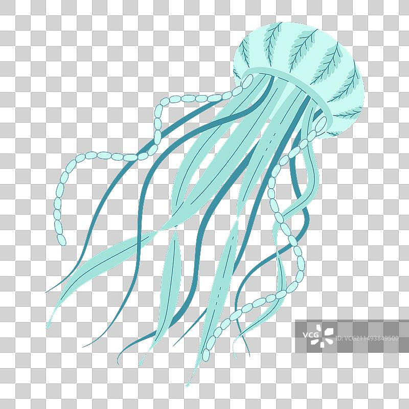 卡通扁平风格水母图片素材